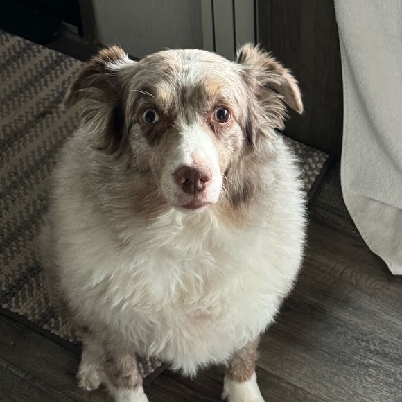 Meet your Posher, Shannon - Picture 2 of 7